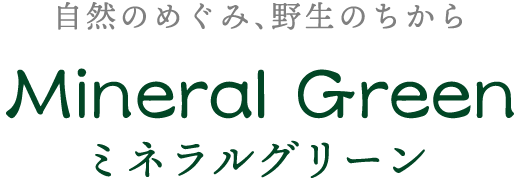 北海道旭川市で人気◎体内貯金を増やして痩せ力・免疫力維持のサポートを。エイジングケアなら当店へ